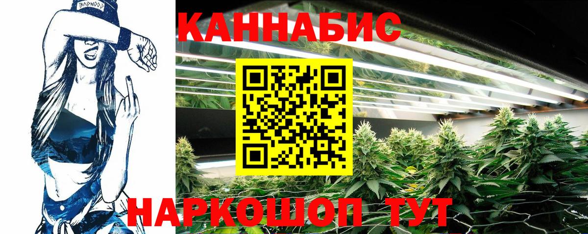 Шишки марихуана семена  Вход с VPN  Обь  Бошки Шишки семена  Конопля гибрид 